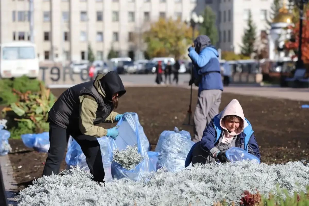 До новых цветочных встреч! В Иркутске завершают уборку однолетников с городских клумб До новых цветочных встреч! В Иркутске завершают уборку однолетников с городских клумб