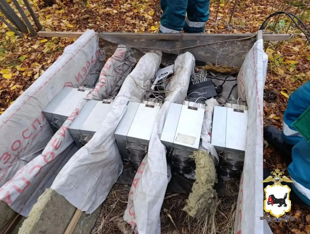 В Иркутском районе полицейские проводят проверку по фактам незаконного подключения «асиков» в лесу