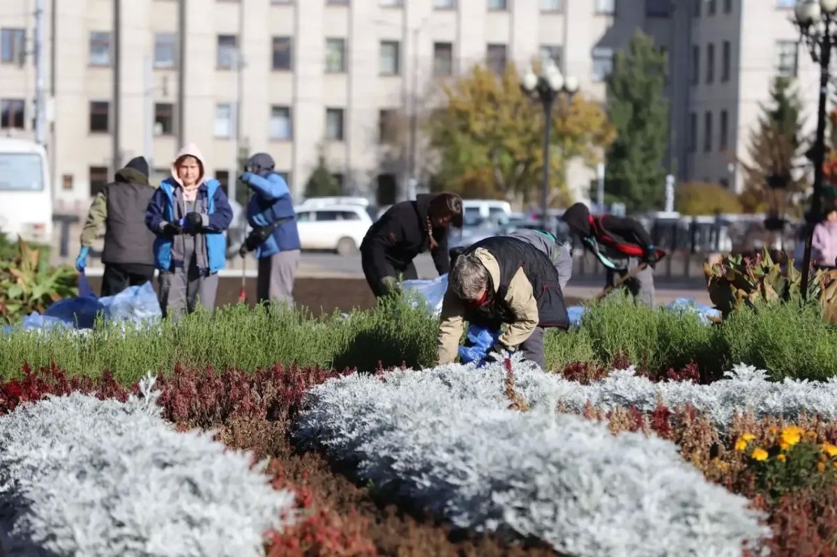 До новых цветочных встреч! В Иркутске завершают уборку однолетников с городских клумб До новых цветочных встреч! В Иркутске завершают уборку однолетников с городских клумб