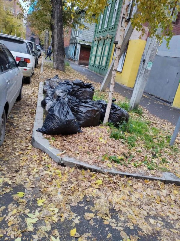 Иркутяне продолжают наводить порядок в городе Иркутяне продолжают наводить порядок в городе