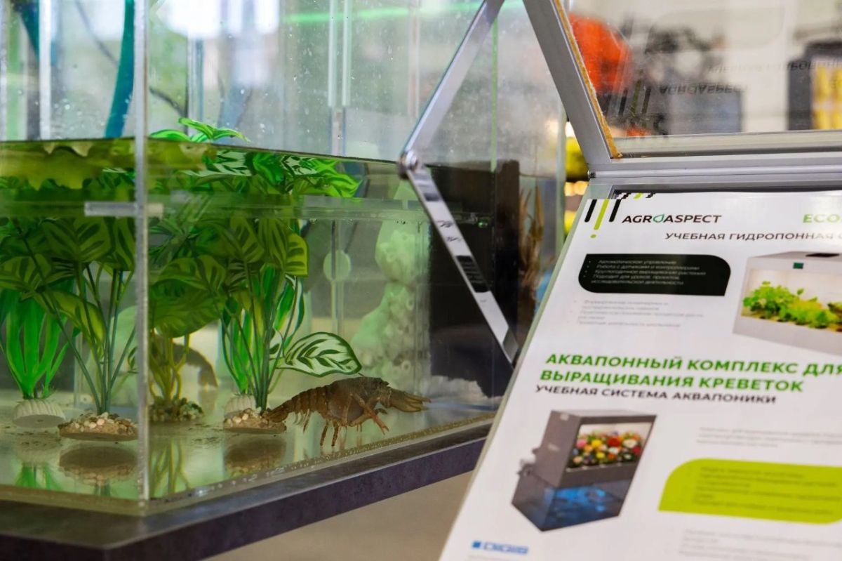 Иркутская область представила свою продукцию на выставке «Золотая осень – 2026» Иркутская область представила свою продукцию на выставке «Золотая осень – 2026»