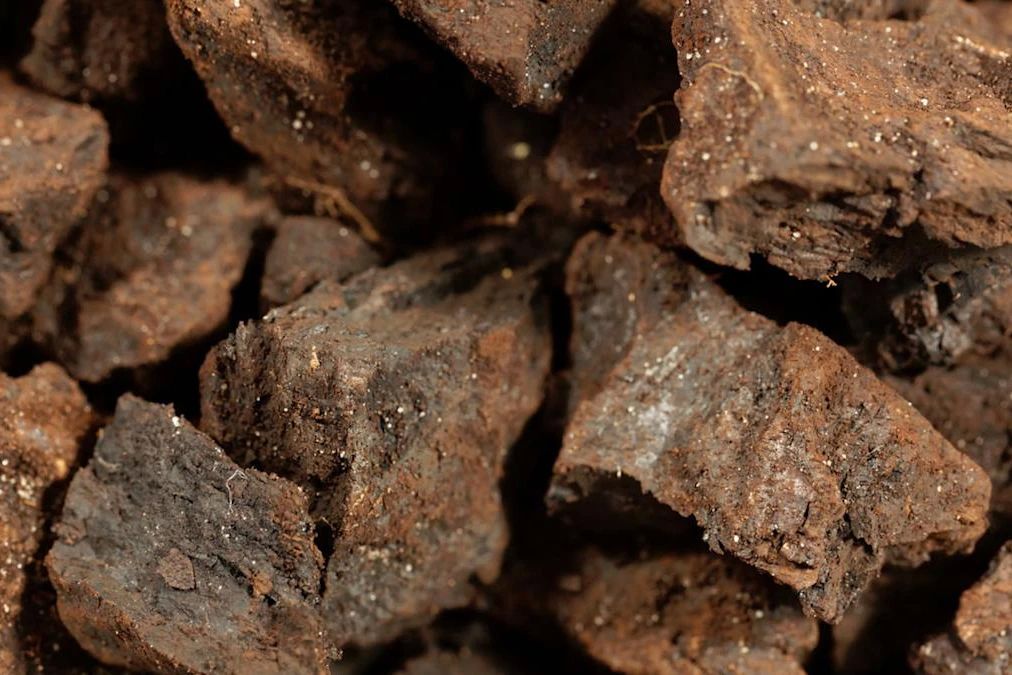 Изучен потенциал Мугунского месторождения угля в Иркутской области