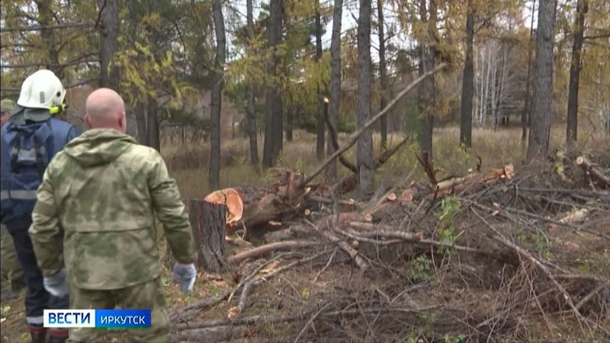 Общегородской субботник прошел в Иркутске