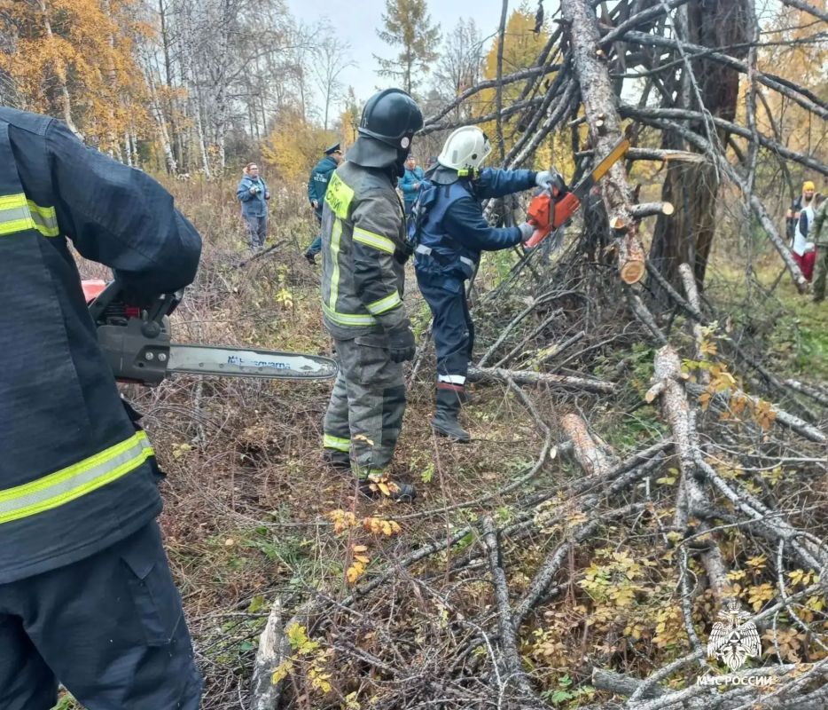 Сотрудники местных пожарно-спасательных гарнизонов оказывают содействие в подготовке к пожароопасному сезону Сотрудники местных пожарно-спасательных гарнизонов оказывают содействие в подготовке к пожароопасному сезону
