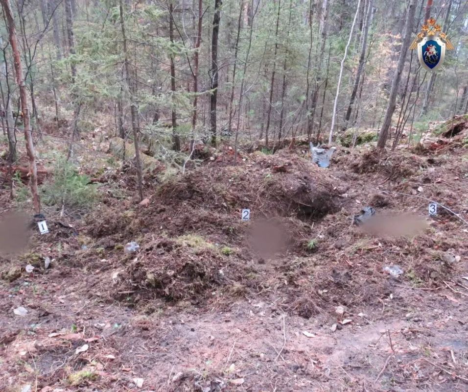 Двое охотников погибли после нападений медведей в Иркутской области