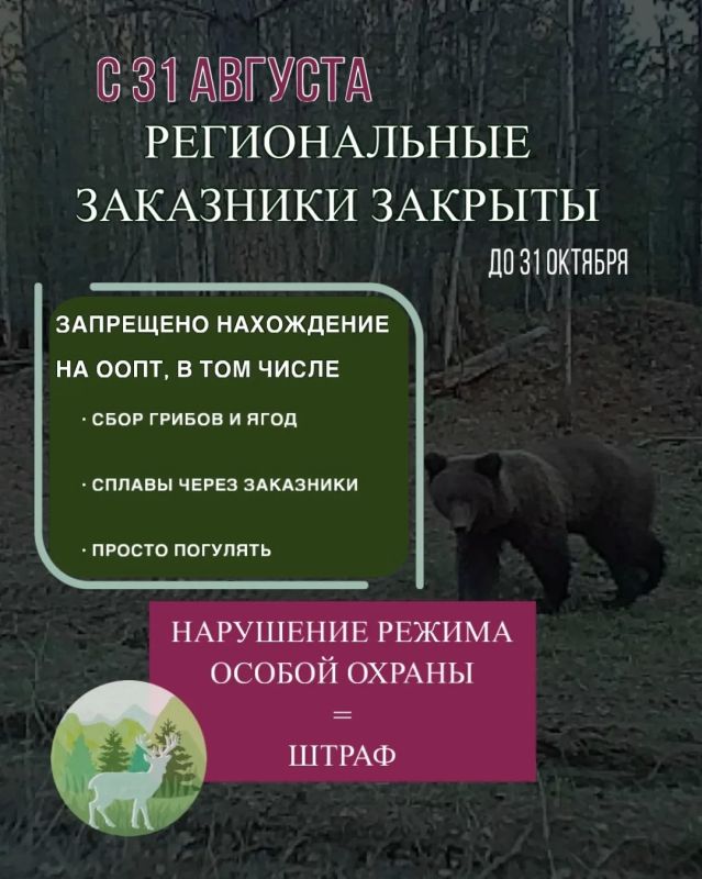 Режим тишины: Почему в конце лета вход в заказники Прибайкалья закрыт