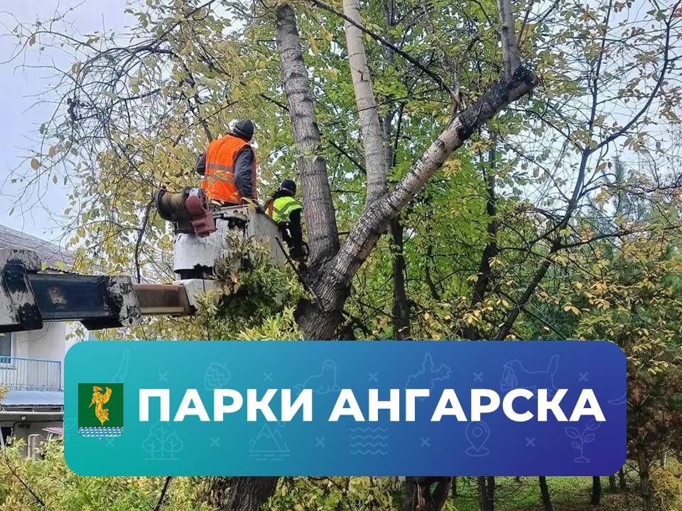 Семь модельных библиотек создано в этом году в Иркутской области, в том числе в Ангарске Семь модельных библиотек создано в этом году в Иркутской области, в том числе в Ангарске