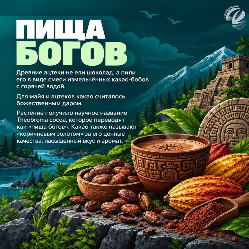 Шоколад кажется привычным продуктом, но за ним скрывается история длиной в тысячи лет – от напитка древних цивилизаций до современного производства и лабораторного контроля Шоколад кажется привычным продуктом, но за ним скрывается история длиной в тысячи лет – от напитка древних цивилизаций до современного производства и лабораторного контроля