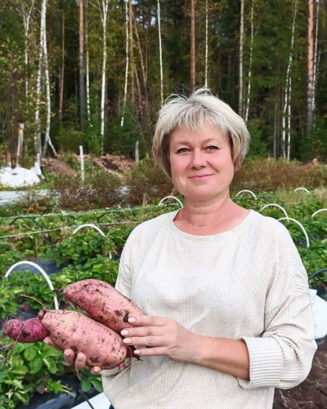 Ананасы, маракуйя, каркаде и даже мексиканский огурец – и все это не где-нибудь в тропиках, а под Иркутском