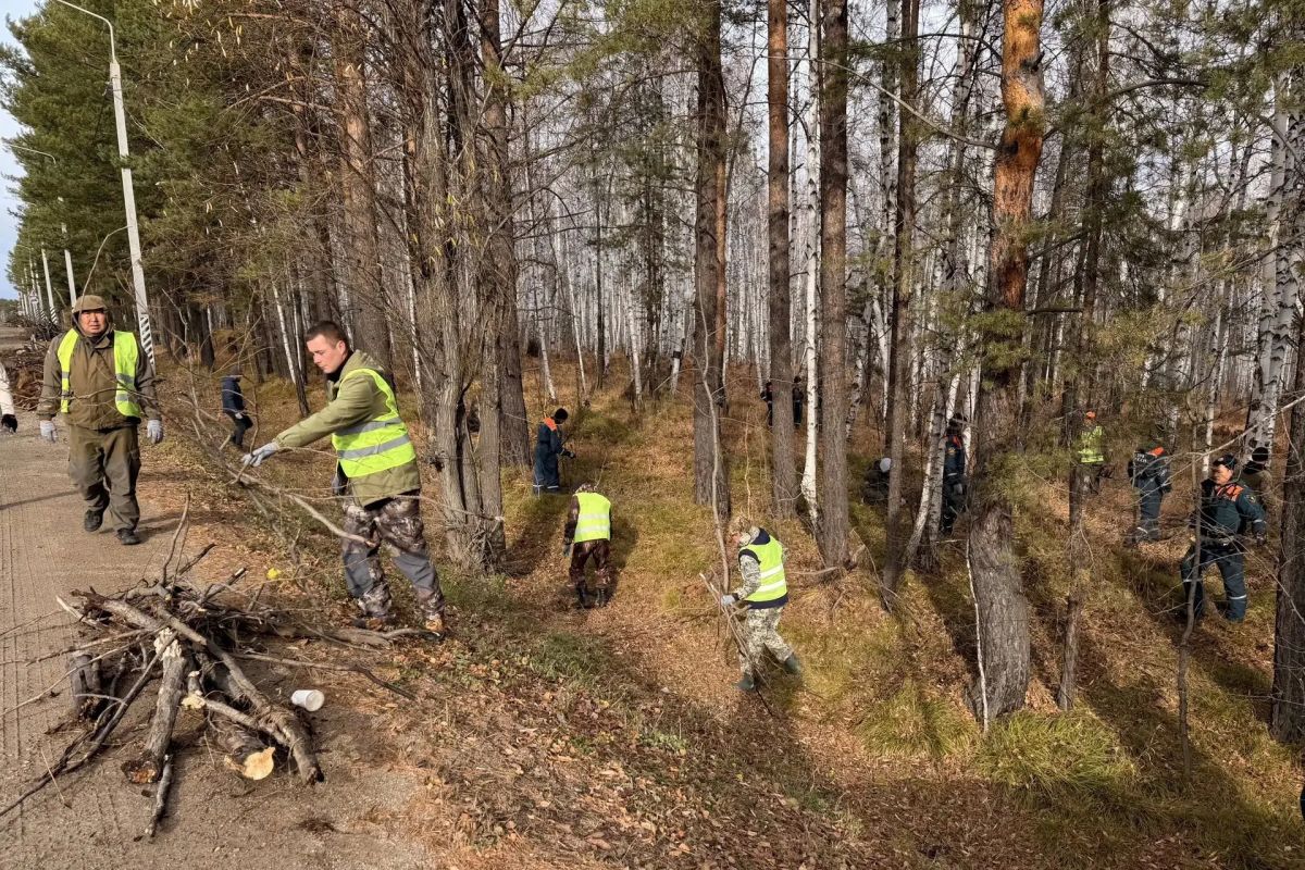 В Приангарье в районе Байкальского тракта убрали валежник и мусор В Приангарье в районе Байкальского тракта убрали валежник и мусор