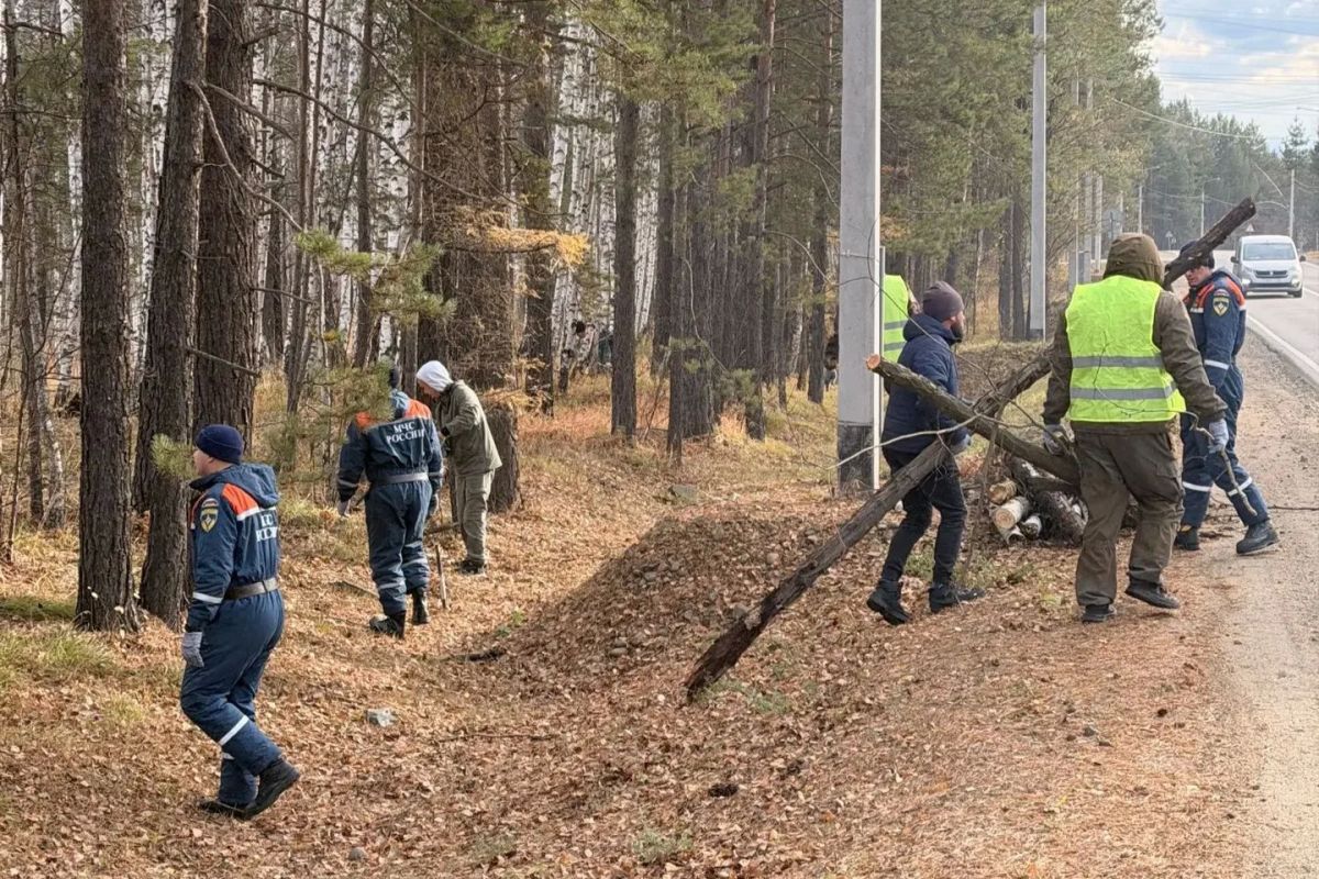 В Приангарье в районе Байкальского тракта убрали валежник и мусор В Приангарье в районе Байкальского тракта убрали валежник и мусор