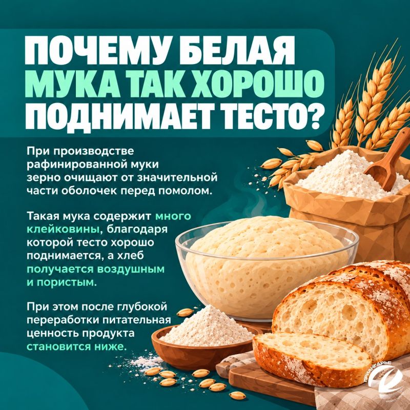 Как выбрать хороший хлеб и на что обратить внимание в магазине? Как выбрать хороший хлеб и на что обратить внимание в магазине?