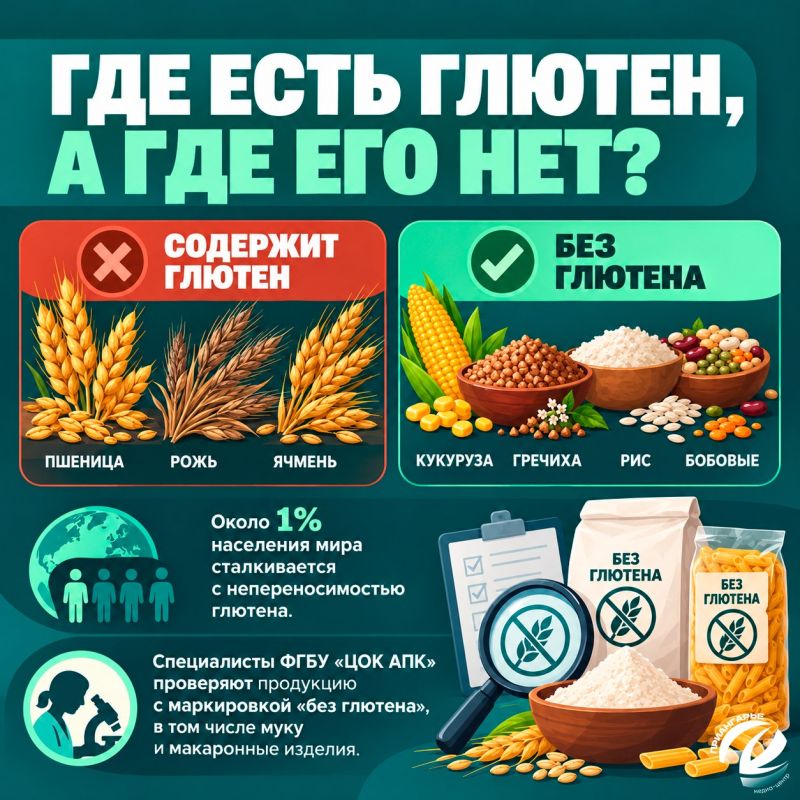 Как выбрать хороший хлеб и на что обратить внимание в магазине? Как выбрать хороший хлеб и на что обратить внимание в магазине?