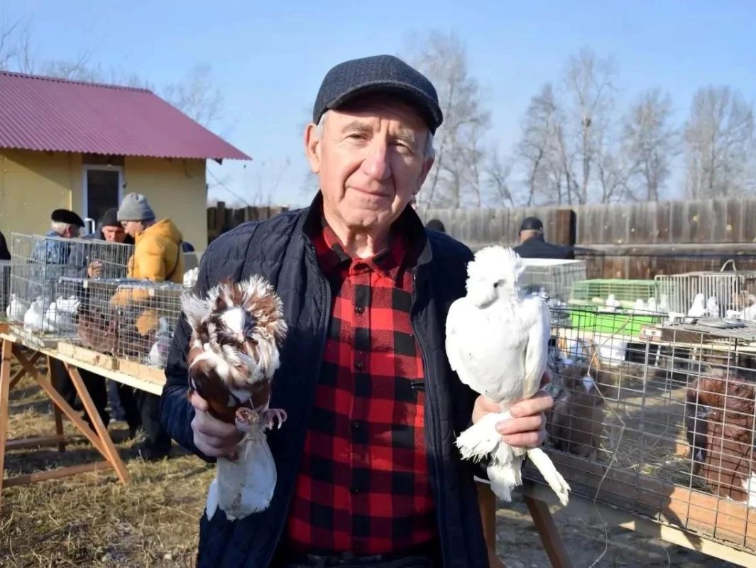 Выставка голубей Иркутской области состоялась в Ангарске
