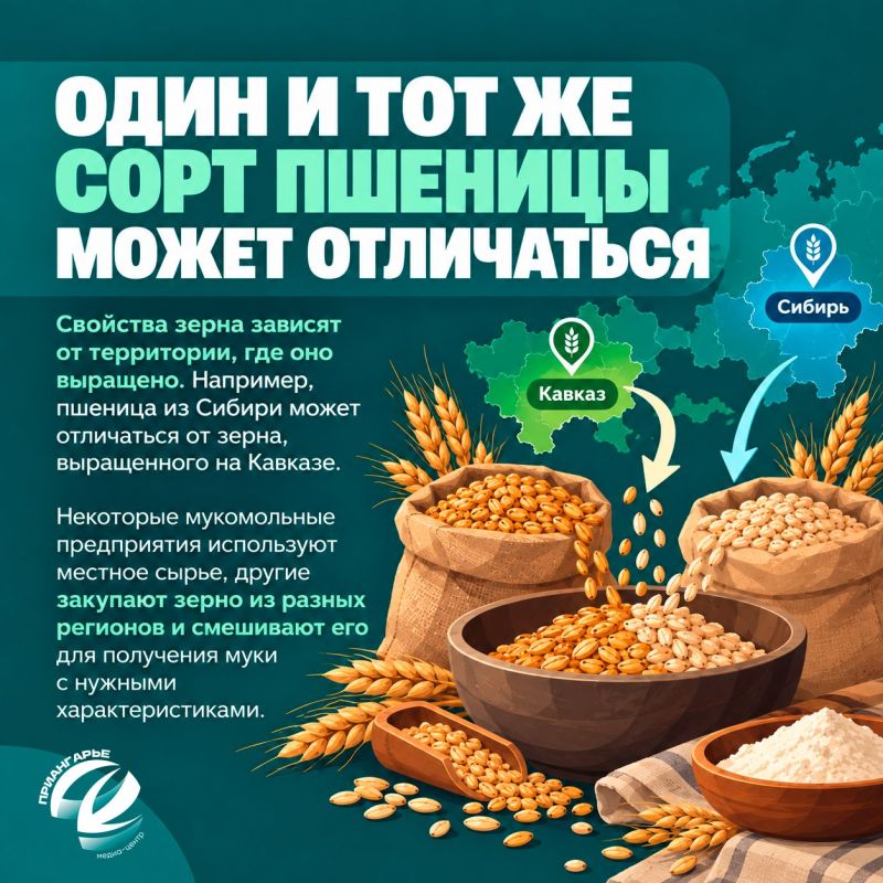 Как выбрать хороший хлеб и на что обратить внимание в магазине? Как выбрать хороший хлеб и на что обратить внимание в магазине?