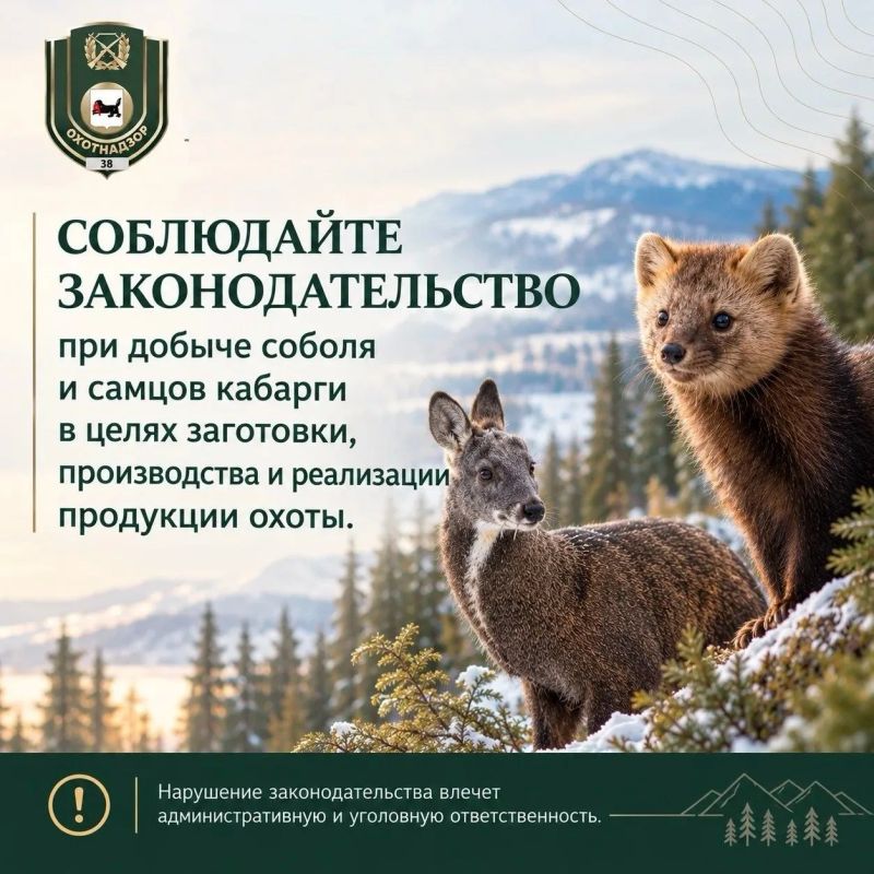 Уважаемые охотпользователи и охотники Иркутской области!