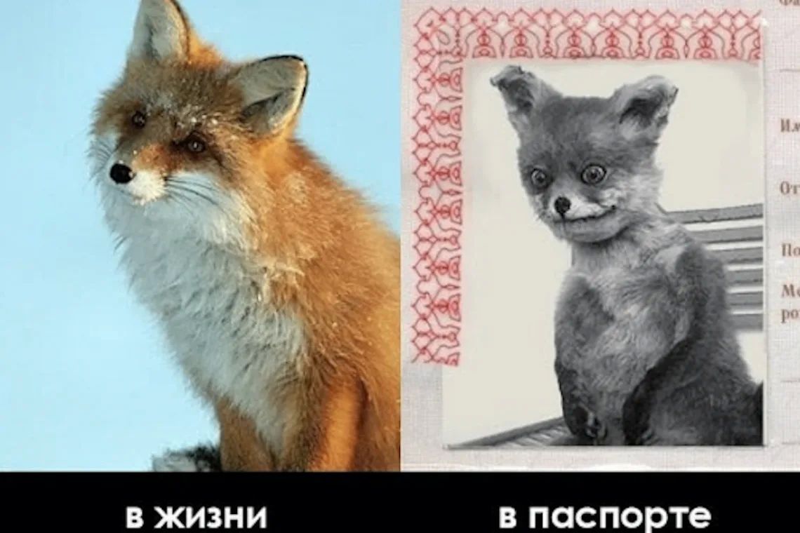Редактировать фотографии на загранпаспорт с помощью ИИ нельзя
