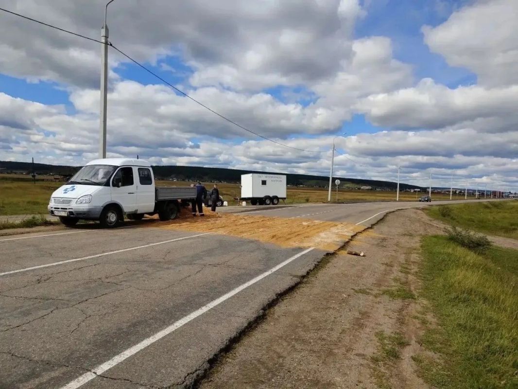 В Иркутском округе не фиксируют новых очагов заразного узелкового дерматита В Иркутском округе не фиксируют новых очагов заразного узелкового дерматита
