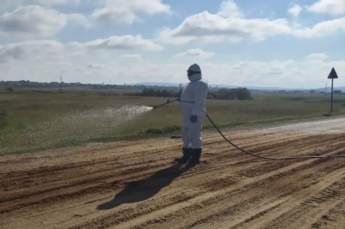 В Иркутском округе купировали вспышку заразного узелкового дерматита