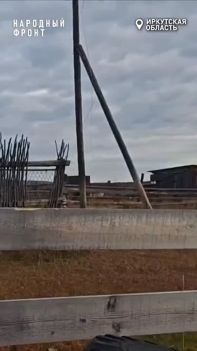 Медведь пытался пробраться в школу в Иркутской области