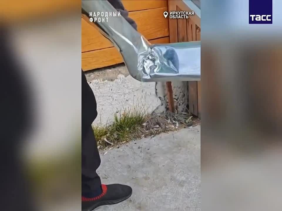 Медведь в селе Залог Иркутской области пытался пробраться в школьную столовую по водосточной трубе, сообщает Народный фронт региона
