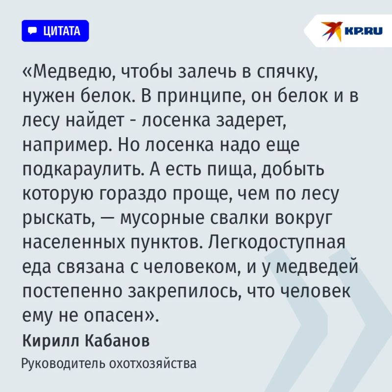 Медведь идет к людям за легкой добычей: Какие меры спасут россиян от агрессивного зверя Медведь идет к людям за легкой добычей: Какие меры спасут россиян от агрессивного зверя