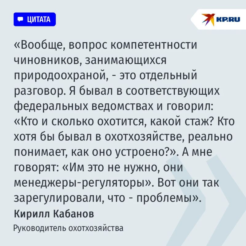 Медведь идет к людям за легкой добычей: Какие меры спасут россиян от агрессивного зверя Медведь идет к людям за легкой добычей: Какие меры спасут россиян от агрессивного зверя