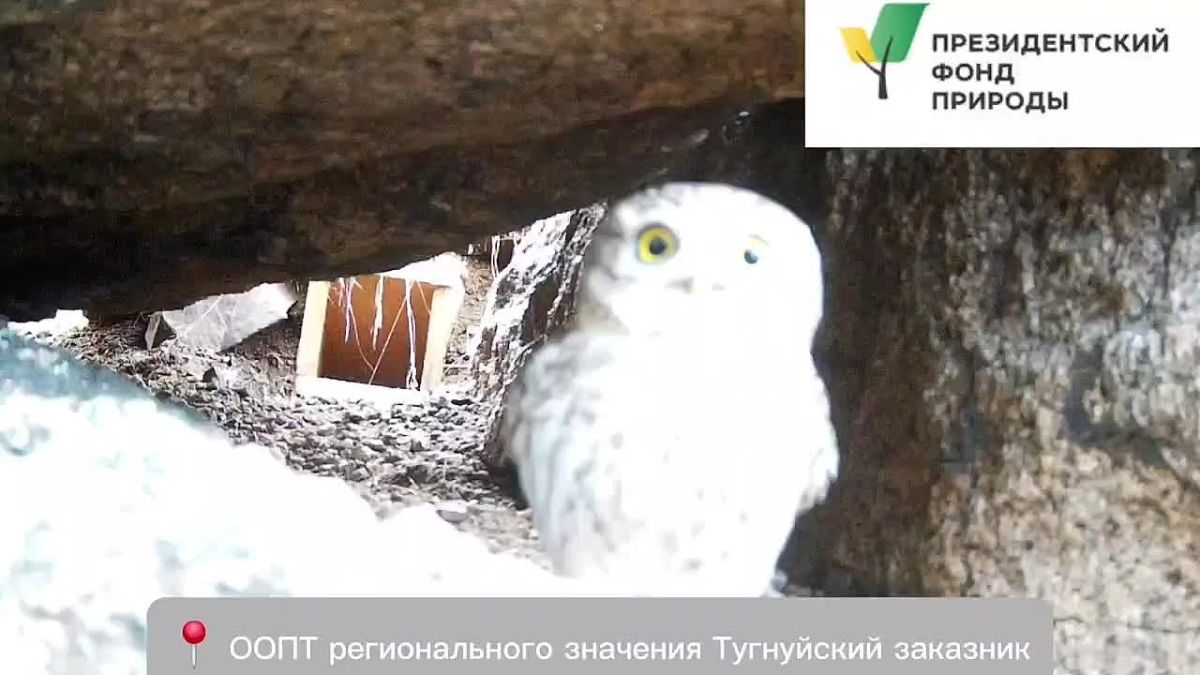 Милее кадра сегодня не найти!