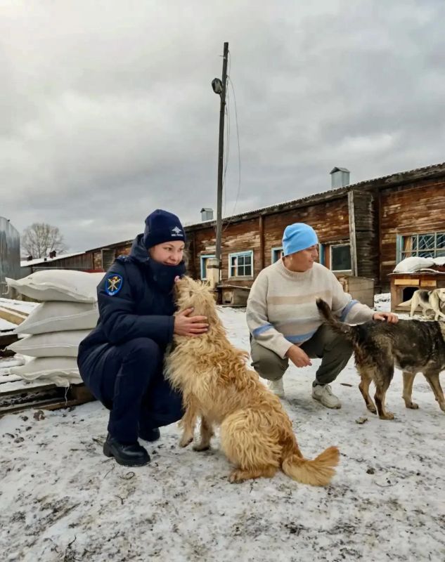 Полицейские Усть-Кута посетили приют "Добрый друг" для бездомных собак Полицейские Усть-Кута посетили приют "Добрый друг" для бездомных собак