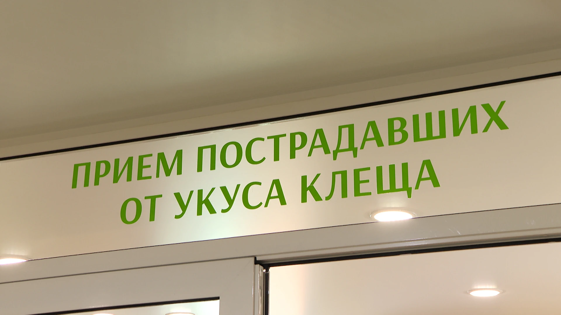 Больше 21 тысячи обращений после укуса клещей зафиксировали в этом сезоне в Прибайкалье