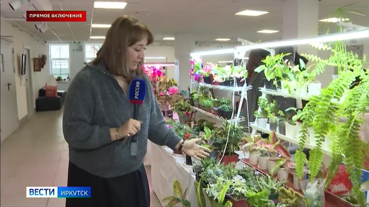 Прямое включение: выставка комнатных растений