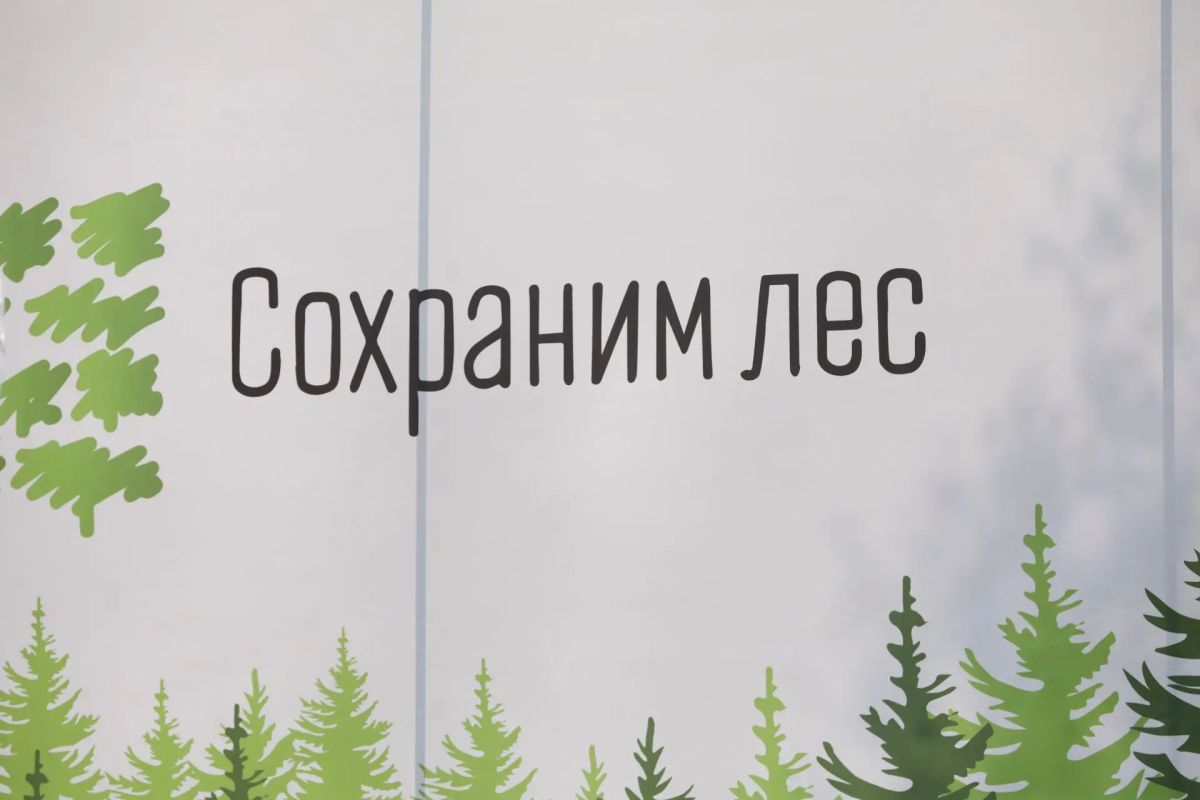 Более 5 млн молодых деревьев высадили в Иркутской области в ходе акции «Сохраним лес» Более 5 млн молодых деревьев высадили в Иркутской области в ходе акции «Сохраним лес»