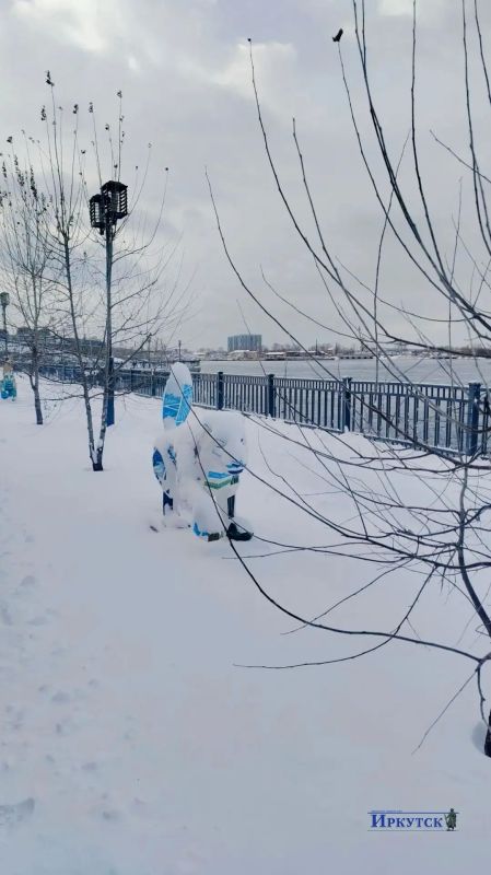 Заснеженные бабры на набережной Ангары Заснеженные бабры на набережной Ангары