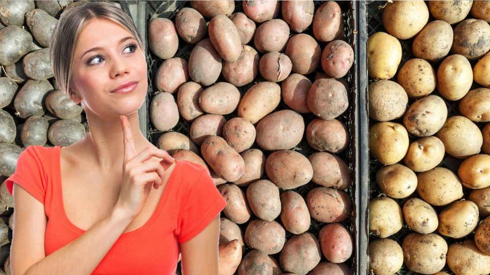 Дурная привычка хозяек: вот из-за чего картофель прорастает и гниет