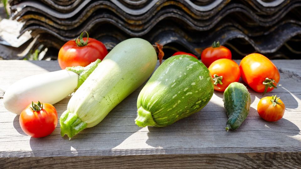 Шикарный ужин сделаете за 5 минут: понадобятся лишь помидоры и кабачок