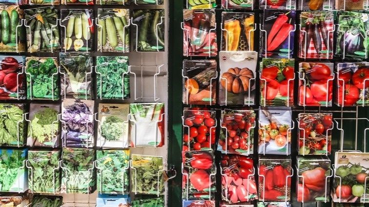 Как не попасться на подделку: пять советов по покупке семян мясистых томатов