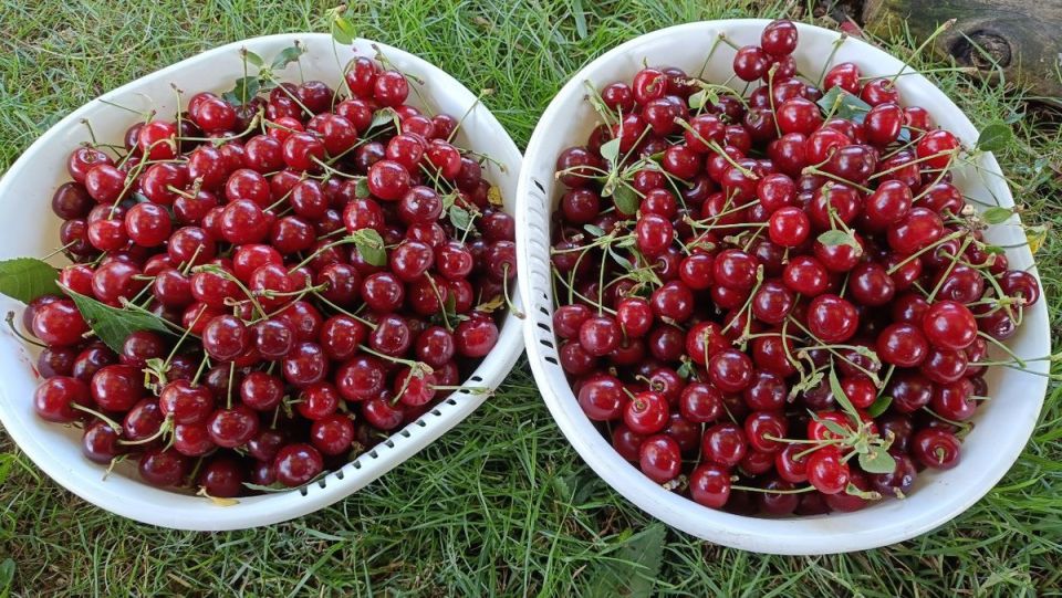 ��� ����������� ���� ��� � ����: 7 �������� ����� ��� ��������� ������