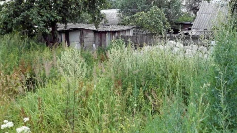 ����������� �������� ��������: ��� ��������� ���������� �������� �� ������� � ��� ����