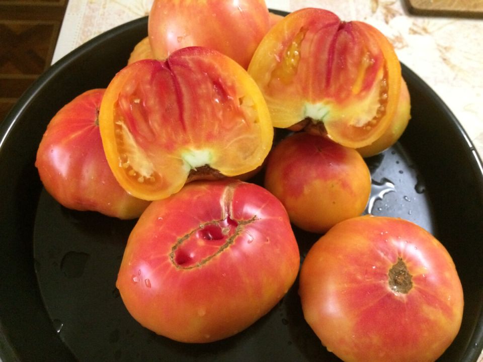 �������� �������: ����� ������ ��������