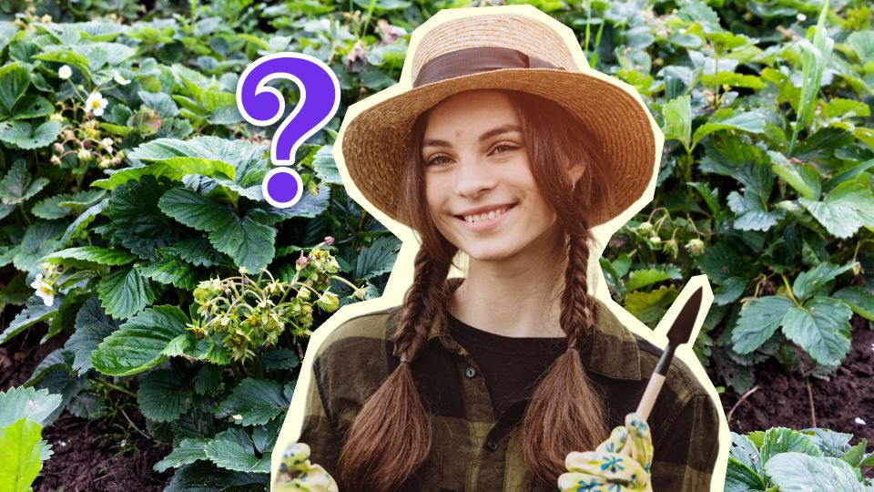 �������� ��� ���, ���� ��������� ��������: ������ ���������� �������