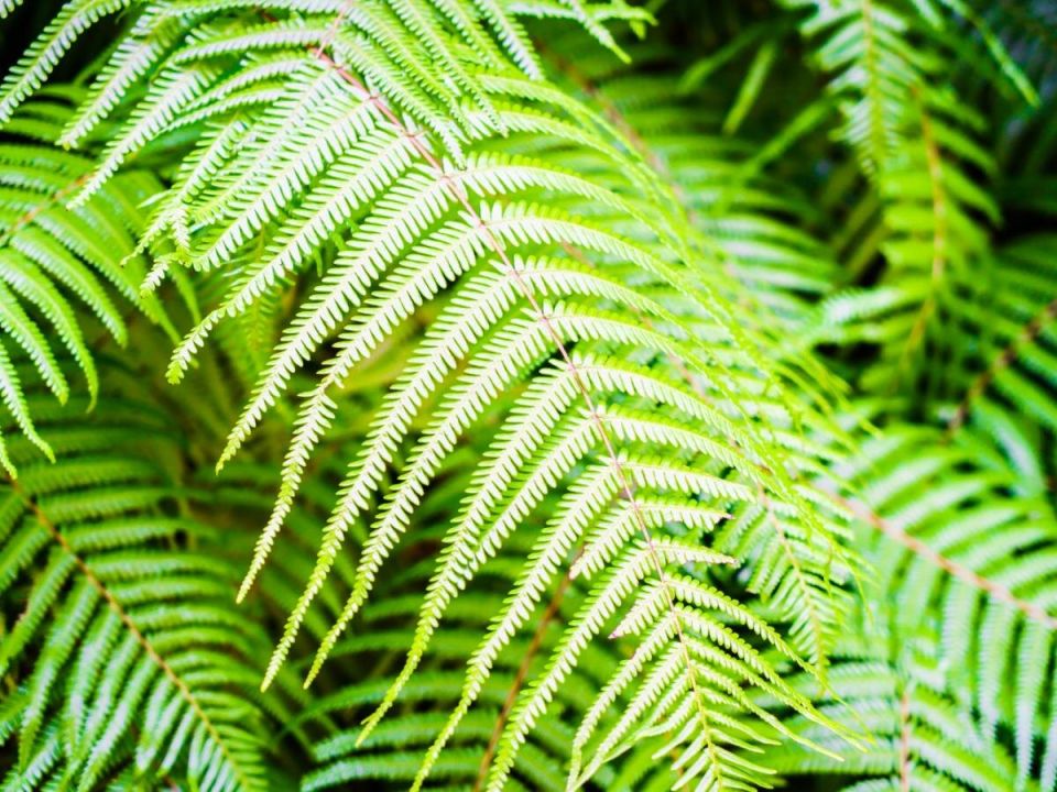 ��� ������ ���������� �����: ������� ������ � �������