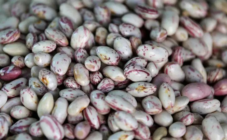 Съели фасоль? Срочно проверьте эти 3 пункта — иначе получите вздутие и боль вместо пользы