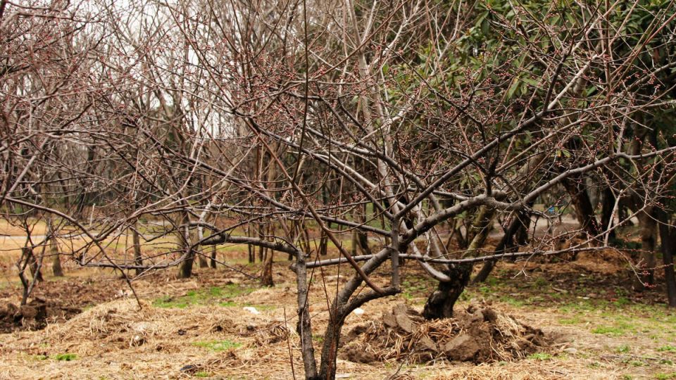 ��� ����������� ������ � ��������� ������: ������ ��� ��������� ������