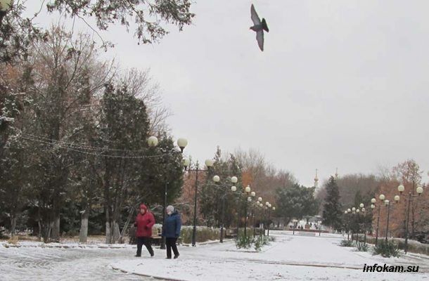 ��� ������ ���������� ����� � 2026 ����: ��������� ����������� � ���������