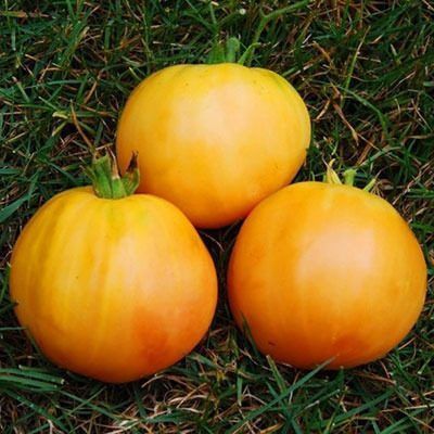 ����� �������� ����: ������ � ������ �����