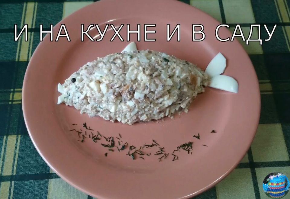 �����-���������: ������� ������ ����� �� ����, ������� ������ ���