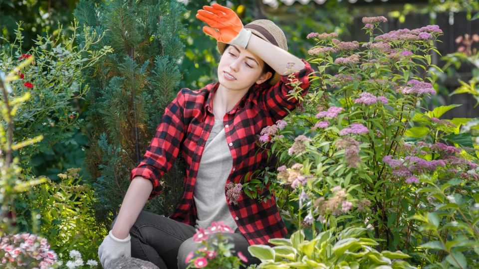 ���� �������� � ���� ������: ��� ��� ������ ���� � ���� � ������� �������