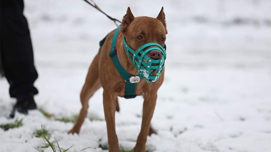 ��� ����� �������� ������ ������������ ��� ������ ��������