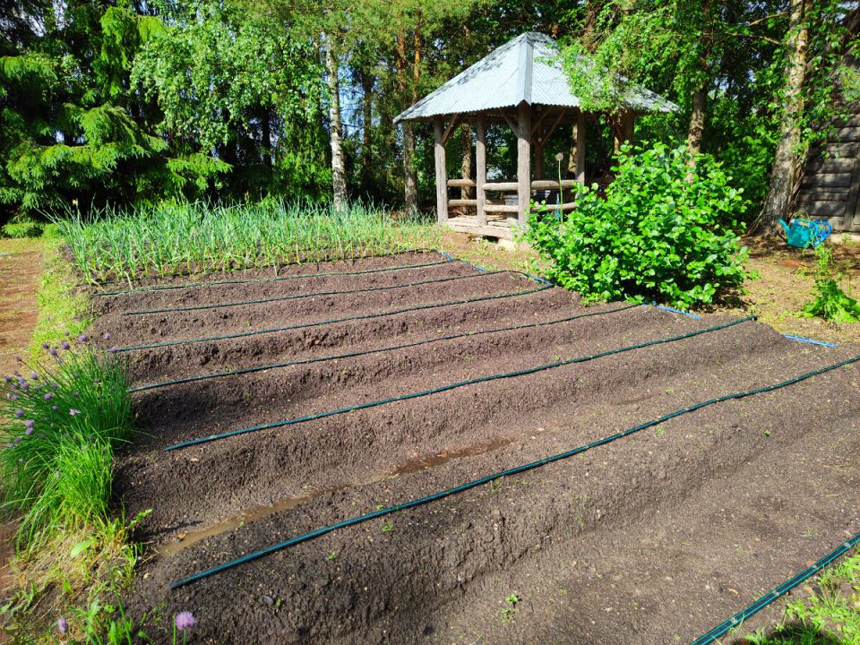 ����������� � �������: ��� ������ ���� ������ � ����