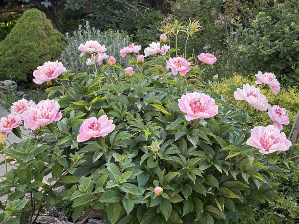 ���� �� ����: ��������� ������ � �������� ������